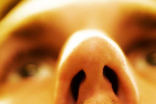 Nowotwór złośliwy nosa i rak zatok przynosowych