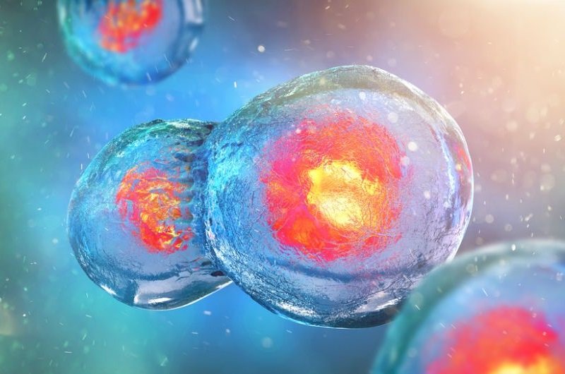 Serwis immuno-onkologia.pl – nowa strategia leczenia nowotworów