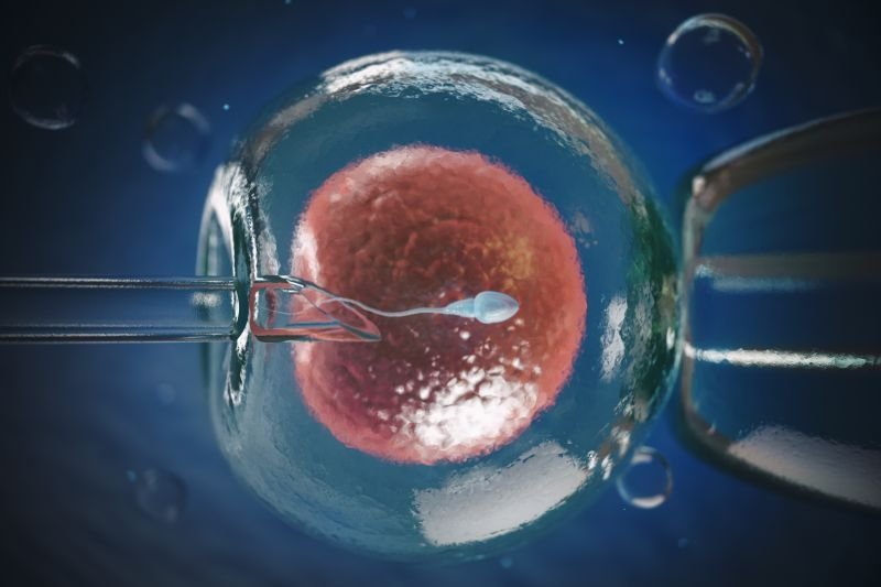 Oncofertility – zachowanie płodności w trakcie leczenia onkologicznego